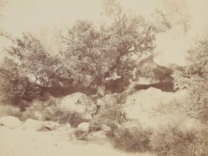 null École photographique de Barbizon. Dans le goût de Eugène CUVELIER (1837-1900)...