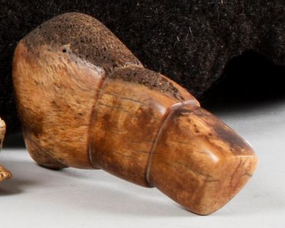 null Pipe rituelle en os

Kenya, Massaï

12,5 cm.



