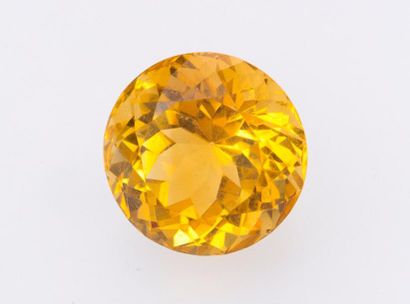 null Citrine ronde

Poids de la pierre : 23.56 cts

