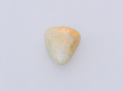 null Opale

Poids : 3.40 cts