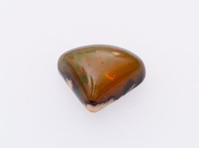 null Opale

Poids : 8.14 cts