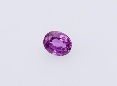 null Saphir rose ovale 

Poids : 2.62 cts