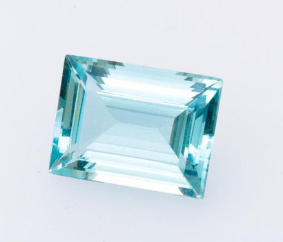 null Aigue-marine à rectangle vif

Poids de la pierre : 30.43 cts

