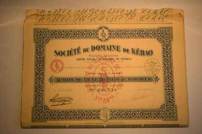 null [ Scripophilie ] [ Domaine de Kébao ]

Ensemble d'actions de cent francs (25)...