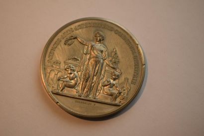 null [ Médaille ] [ Exposition universelle - World's fair ]

Médaille en métal argenté...