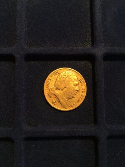 null 1 pièce en or de 20 francs Louis XVIII buste nu (1824A)
TB
Poids : 6.45 g