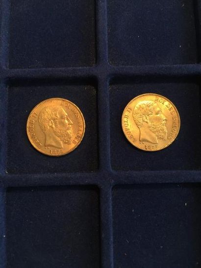null 2 pièces en or de 20 francs Leopold II (1875 x 1 ; 1877 x 1)
TTB à SUP
Poids...