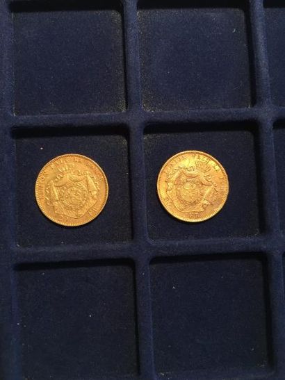 null 2 pièces en or de 20 francs Leopold II (1875 x 1 ; 1877 x 1)
TTB à SUP
Poids...
