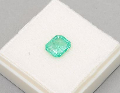 null Emeraude à angles vifs

Poids : 2.53 cts