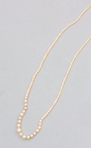 null Collier en chute en perles fines 

Longueur : 41 cm