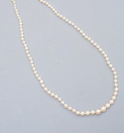 null Collier en chute de perles de culture

Longueur : 51 cm 