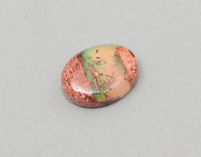 null Opale multicolore ovale

Poids de la pierre : 12.60 cts 

