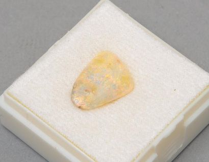 null Opale

Poids: 5.14 cts
