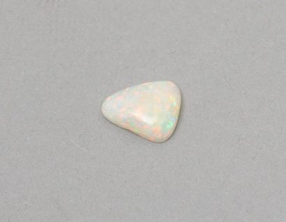 null Opale

Poids : 3.40 cts