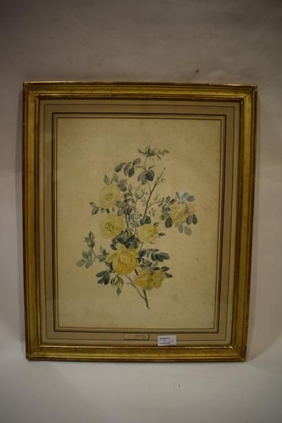 null BROCQQ Pierre Jules 

1811 - vers 1862



1 - Etude de fleurs



Crayon noir...