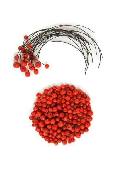 null Lot de perles de corail naturel de couleur rouge orangé non polies.

Chine
...