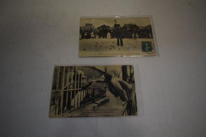 null [ Cartes postales ] [ Animaux ] [ Paris ]

Ensemble de deux cartes :

Paris...