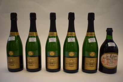 null 5 bouteilles CHAMPAGNE Delavenne (on joint 1 Mûrier) 