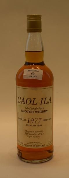 null 1 bouteille CAOL ILA "Single Islay Malt", Jas. Gordon 1977	

