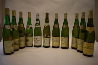 null 11 bouteilles ALSACE DIVERS, (2003/2012/1981/1997)		

