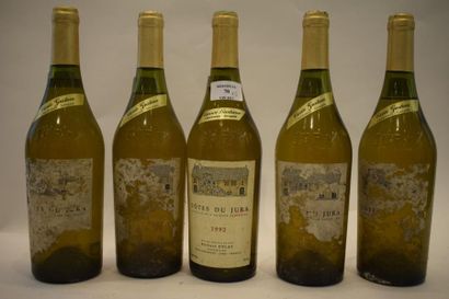 null 5 bouteilles CÔTES DU JURA "Savagnin-Chardonnay", R. Delay 1992	 (eta) 	

