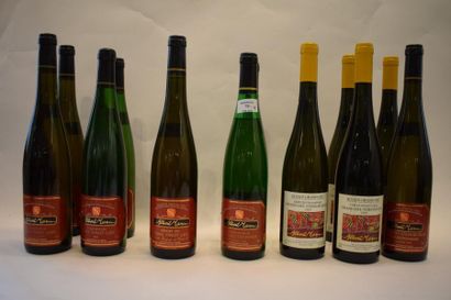 null 12 bouteilles ALSACE (dont Furstentum 95, 97 & 2000, Steingrubler 1994, 1999...