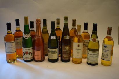 null Ensemble de 	19	 bouteilles 					

3	bouteilles 	CÔTES DE DURAS 		Domaine les...
