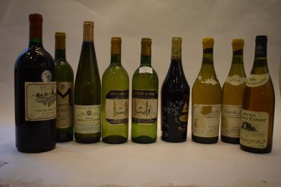 null Ensemble de 8 bouteilles de Blancet 1 magnumde Rouge (Chevalier de Malle, Jura,...