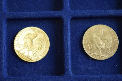 null 2 pièces en or de 20 francs Coq (Liberté, Egalité, Fraternité) (1907 ; 1911)

TTB...