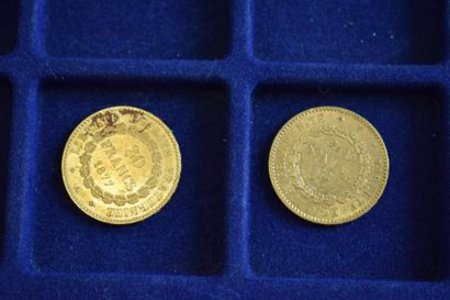 null 2 pièces en or de 20 francs Dupré (1876 A; 1877 A)

TB à TTB 

Poids : 12.9...