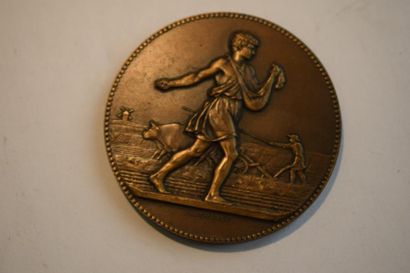 null [ Médaille ] [ Agriculture ] 

Médaille en bronze 

A l'avers : figure du Semeur,...