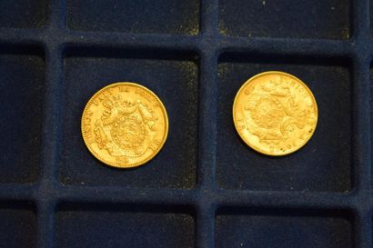 null 2 pièces en or de 20 francs Leopold II (1877 x 2)

TTB à SUP

Poids : 12.9 ...