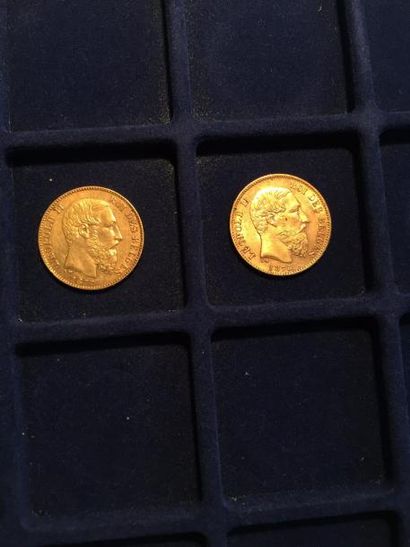 null 2 pièces en or de 20 francs Leopold II (1875 x 1 ; 1877 x 1)

TTB à SUP

Poids...