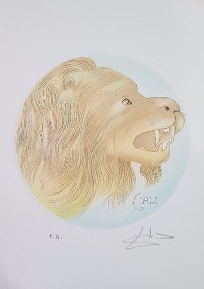 null DALI Salvador, d'après

Les signes du zodiaque

12 lithographies signées en...