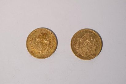 null 2 pièces en or de 20 francs Leopold II "tête nue" (1874)

TTB 

Poids : 12.9...