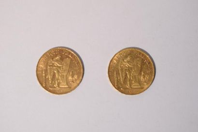 null 2 pièces en or de 20 francs Dupré (1896 A; 1897 A)

TB à TTB 

Poids : 12.9...