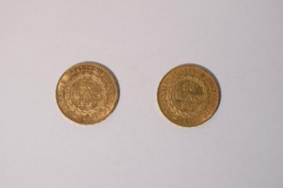 null 2 pièces en or de 20 francs Dupré (1896 A; 1897 A)

TB à TTB 

Poids : 12.9...