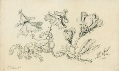 Jean-Baptiste PILLEMENT (Lyon 1728 - 1808) Jeté de fleur Crayon noir et estompe....