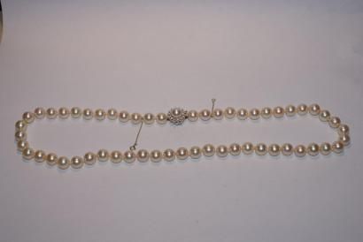 null Collier choker de perles de culture, le fermoir en or gris 18K (750) orné d'une...