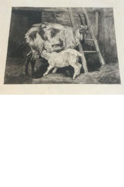 null LANÇON Auguste, 1836-1887, 

Chèvre et chevreau, 1880, 

eau-forte en noir (lavée,...