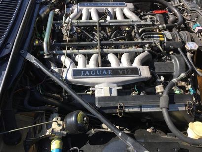 null JAGUAR XJS Cabriolet V12 année 1992



La Jaguar XJ-S (puis Jaguar XJS) est...