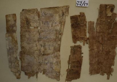 null Ensemble de fragments de papyrus avec des restes de polychromie et d'inscriptions.

Egypte,...