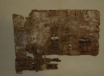 null Ensemble de fragments de papyrus avec des restes de polychromie et d'inscriptions.

Egypte,...