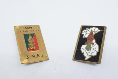 null [ Terre ] [ infanterie ] [ Légion étrangère ]

Lot de deux insignes : 

5° R.E.I...
