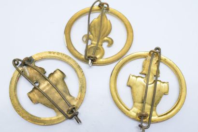 null [ Terre ] 

Ensemble de trois insignes de béret