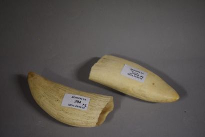null Une paire de petites dents de cachalot

avec CITES

303 et 308g