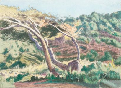 null GUILLOUX Charles Victor, 1866-1946, 

Les arbres penchés, 

aquarelle gouachée...