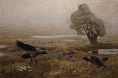 null OLSZEWSKI Karl Ewald,1884-1965
Oiseaux dans un champ,
huile sur toile (accidents...