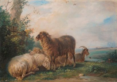 null PARIS Joseph François, 1784-1871, 

Moutons au pré, 

pastel et aquarelle (insolation...