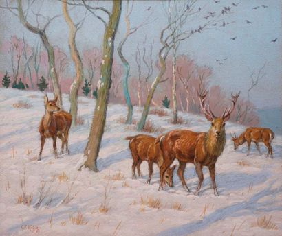 null RÖTIG Georges Frédéric, 1873-1961, 

Cerf et biches dans la neige, 1919, 

gouache,...